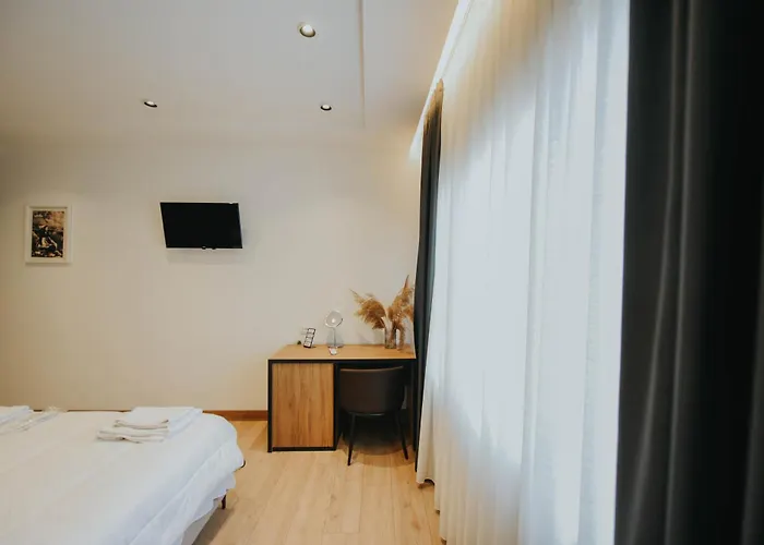 酒店 布里尼酒店 3*