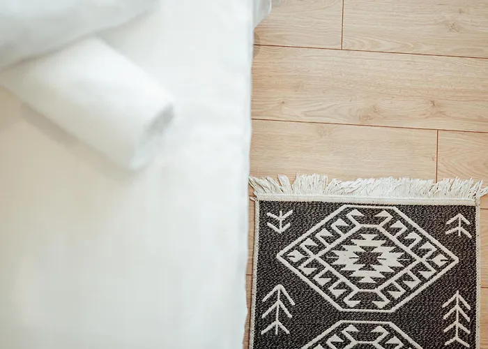 酒店 布里尼酒店