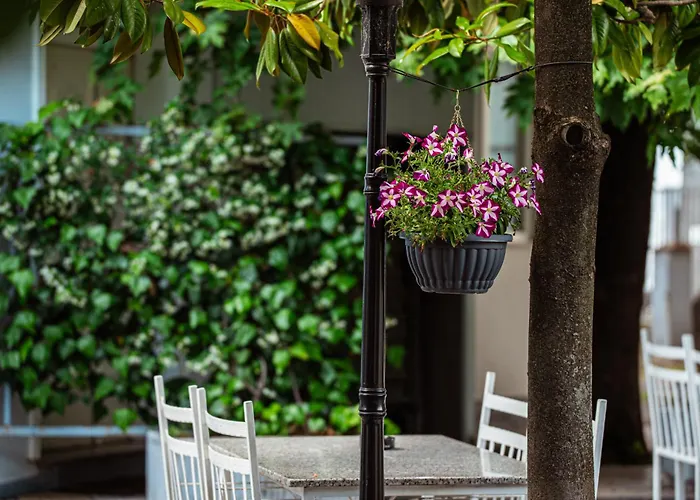 Blini فندق شكودر